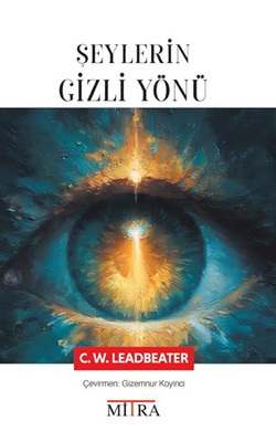 Şeylerin Gizli Yönü