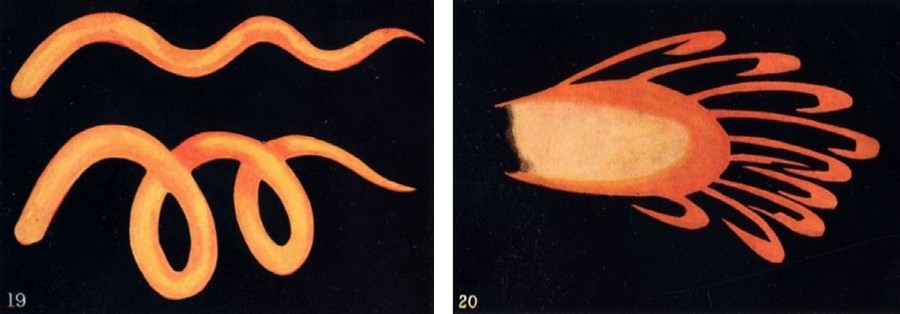 Düşünce Formları resim-12