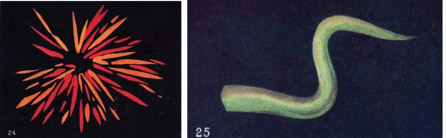 Düşünce Formları resim-14