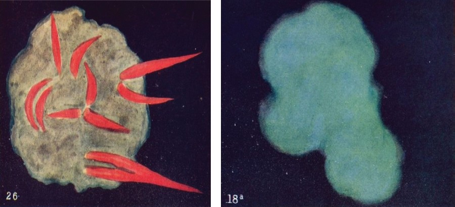 Düşünce Formları resim-15
