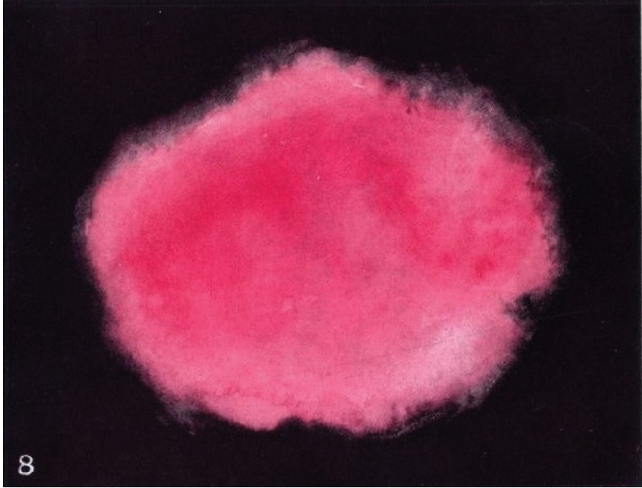 Düşünce Formları resim-4