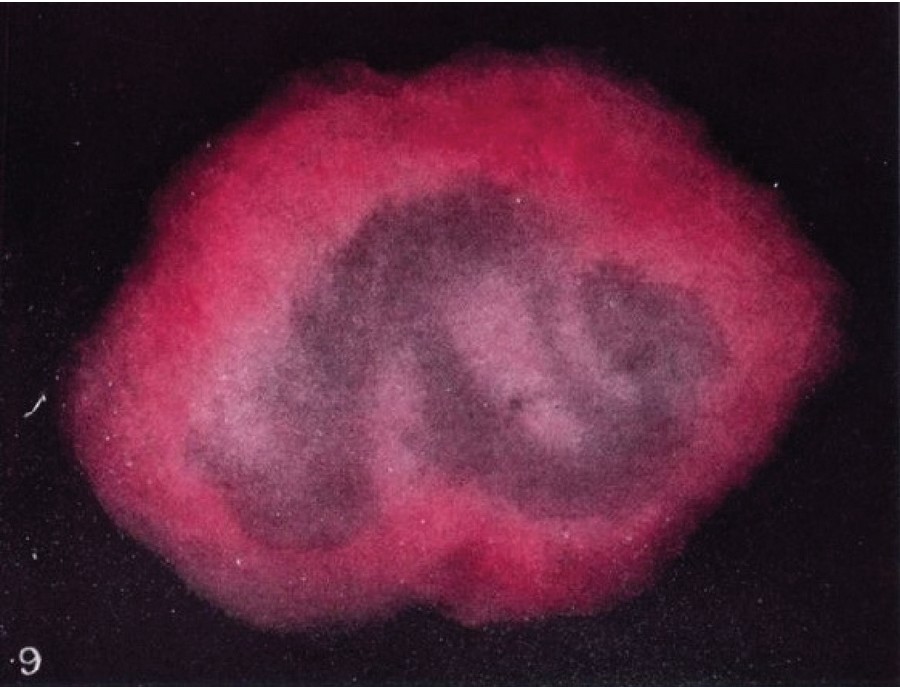 Düşünce Formları resim-5