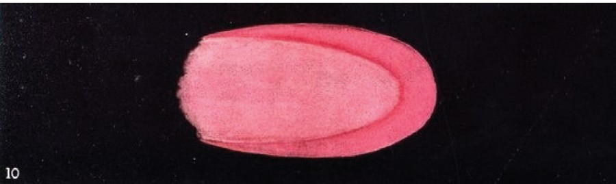 Düşünce Formları resim-6